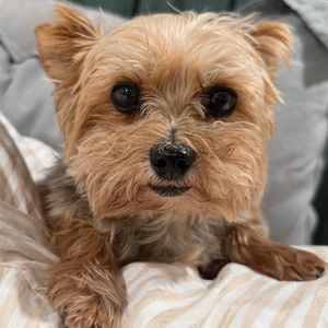 Meet your Posher, Emme